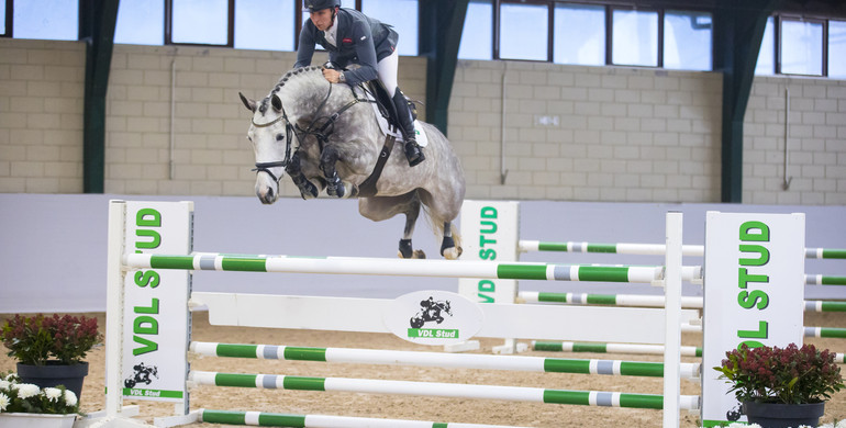 WEF Sport Horse Auction 2021 goes live and online