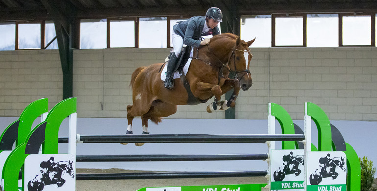 Today: Live presentation of the WEF Sport Horse Auction collection with online streaming