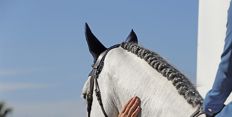 Spring MET III cancelled following the EHV-1 outbreak in Valencia