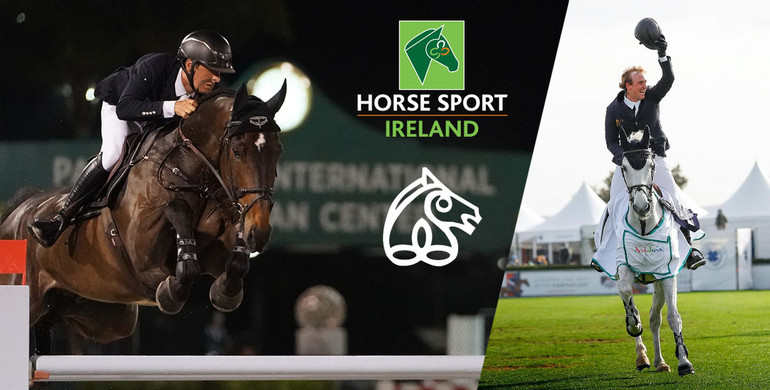 Irish Sport Horses sparkle and shine!