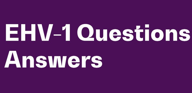 FEI with Q&As in their EHV-1-hub