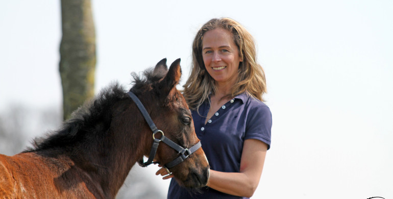 Lies De Backer: “The breeding of horses has changed a lot in the last few years”