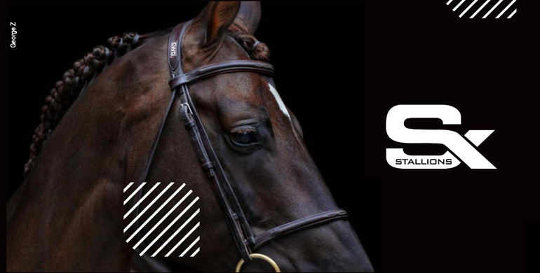 Breed with the best – Stephex Stallions
