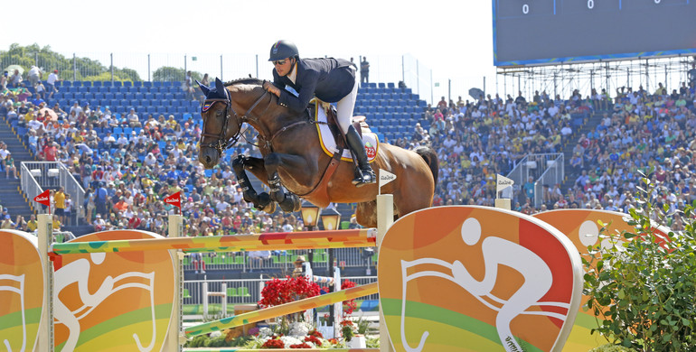 Apardi: “A gorgeous stallion and a true natural athlete”