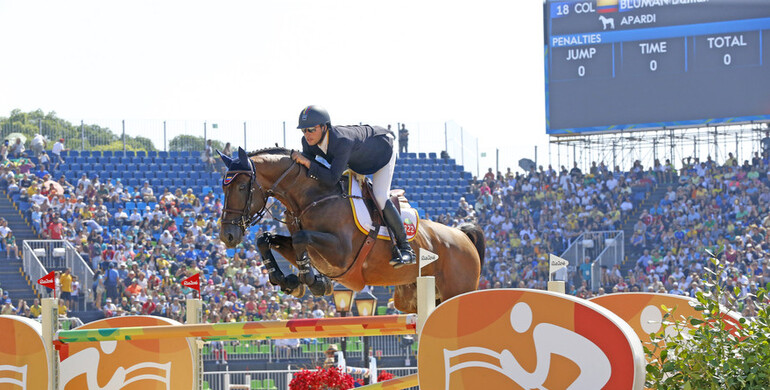 Apardi: “A gorgeous stallion and a true natural athlete”