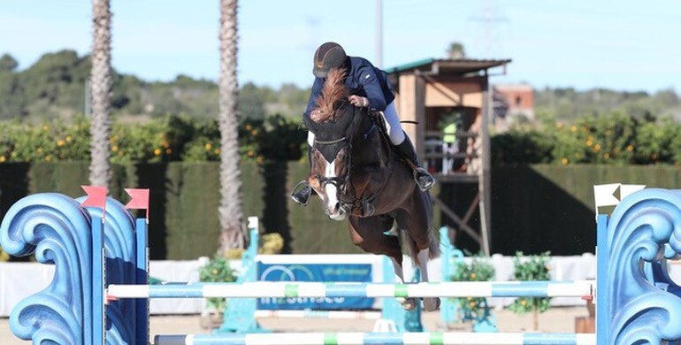 Poden Farms acquires the talented 7-year-old Jappeloup