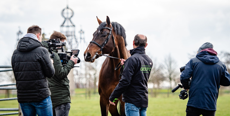 This weekend the VDL Stud opens its virtual door to breeders around the world!