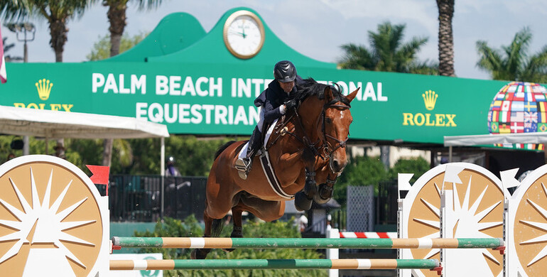 Laura Chapot and Chandon Blue are comeback kids in $37,000 Gold Coast Feed & Nutrition Classic CSI2*