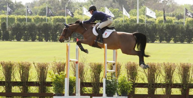 Conor Swail and Fortis Fortuna finish on top of Wellington Turf Tour Grand Prix