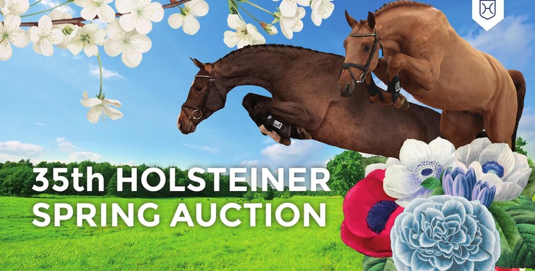 35th Holsteiner Spring Auction Sale: Interesting horses for all disciplines