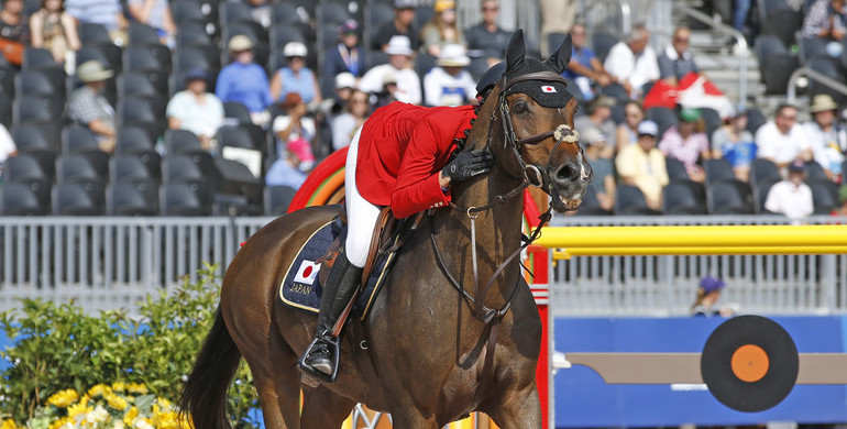 Still going strong – Karen Polle’s With Wings: “I knew he was a once-in-a-lifetime horse when I got him”