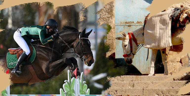 Malin Baryard-Johnsson and El Barone 111 contribute to horse welfare through ReGive