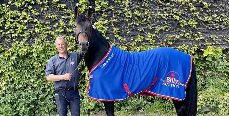 Billy Bentos tops The Billy Stud Spring Online Auction