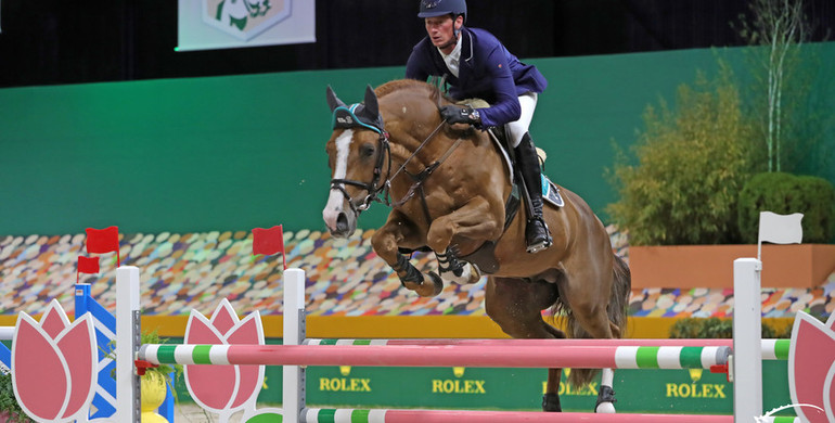 Scuderia 1918 Tobago Z back in the show ring