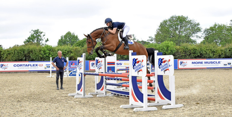 The Billy Stud - Set to showcase their most exciting collection of 4 year olds to date!