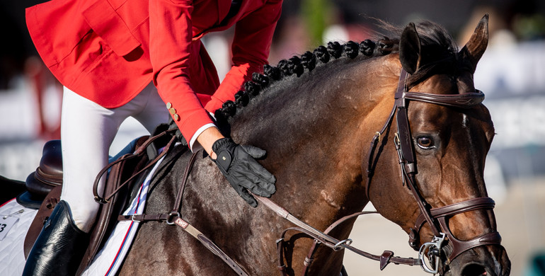 Postcard from CSIO5* Sopot Horse Show