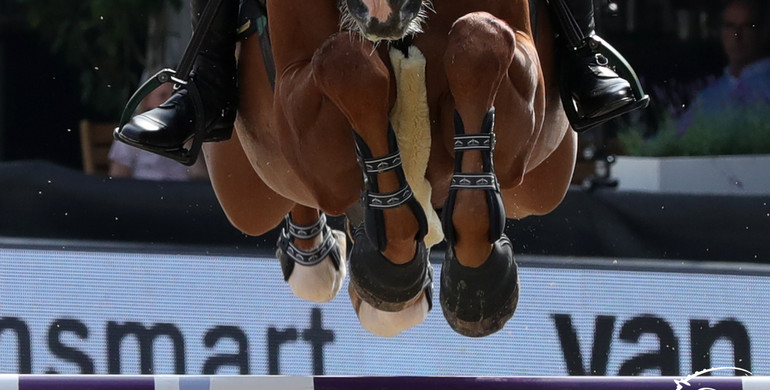 Jumping Performance Rating (JPR): A new method to rank horses and riders