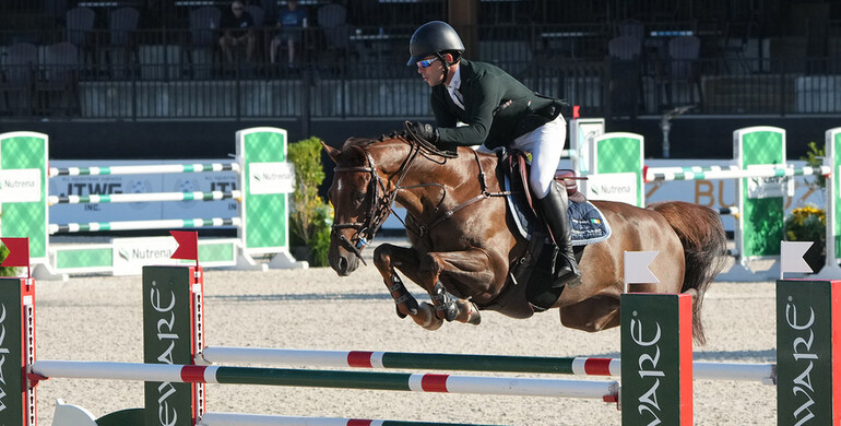 Conor Swail and Theo 160 swing $6,000 Speed Stake CSI 2* win