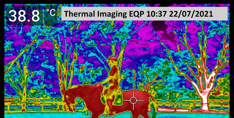 Keeping cool in Tokyo – heat and humidity measures under the microscope