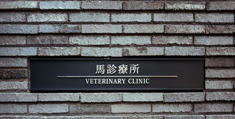 World-class veterinary care on offer for Tokyo 2020 equine athletes