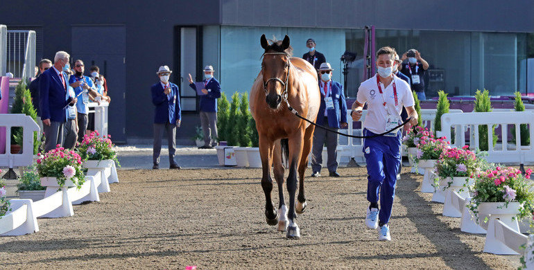 All jumping horses pass Olympic veterinary inspection