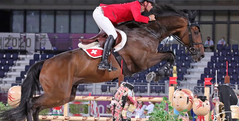 From youngster to international Grand Prix horse: Venard de Cerisy