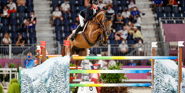 Olympic KWPN auction collection contains nephew of golden Explosion and the next Beauville Z