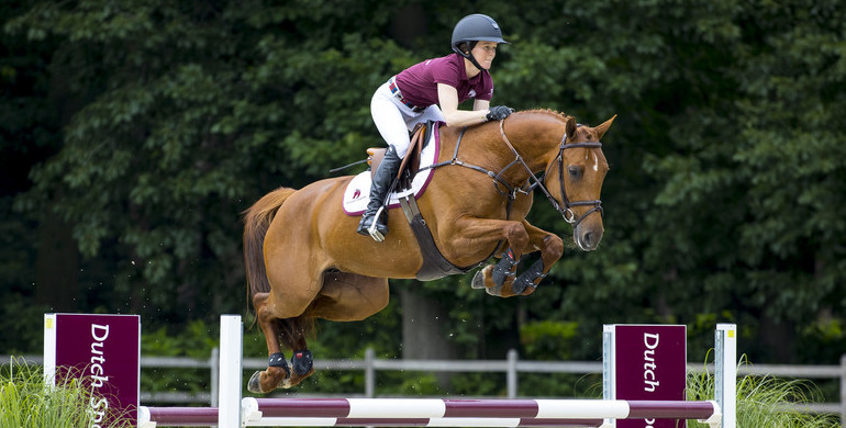 Dutch Sport Horse Sales returns with outstanding collection
