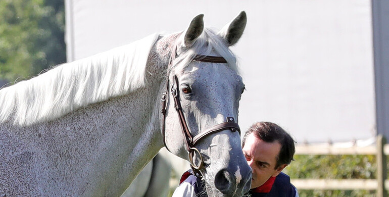 The Longines FEI European Championships 2021 kick off with first veterinary inspection
