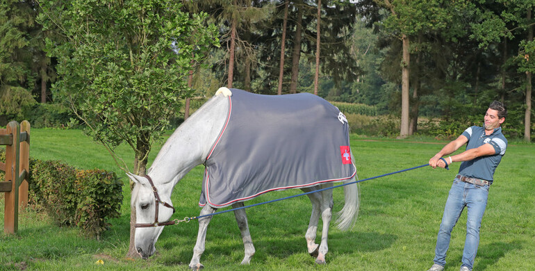 Just chillin' at the Longines FEI European Championships 2021