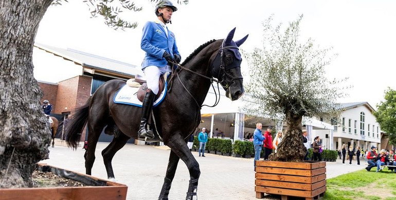 Christian Ahlmann's Dominator 2000 Z returns to the show ring in Riesenbeck