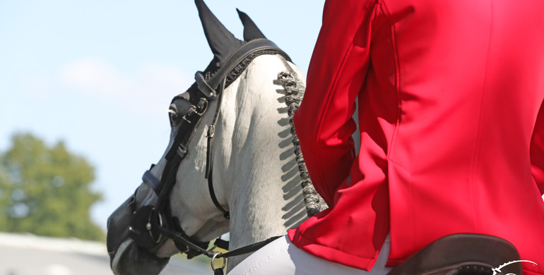 Changes to the FEI Jumping Rules and FEI Veterinary Regulations for 2022