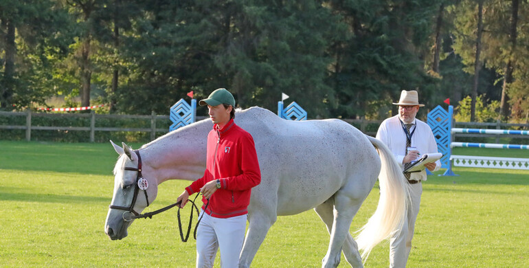 All horses pass second veterinary inspection at the Longines FEI European Championships 2021