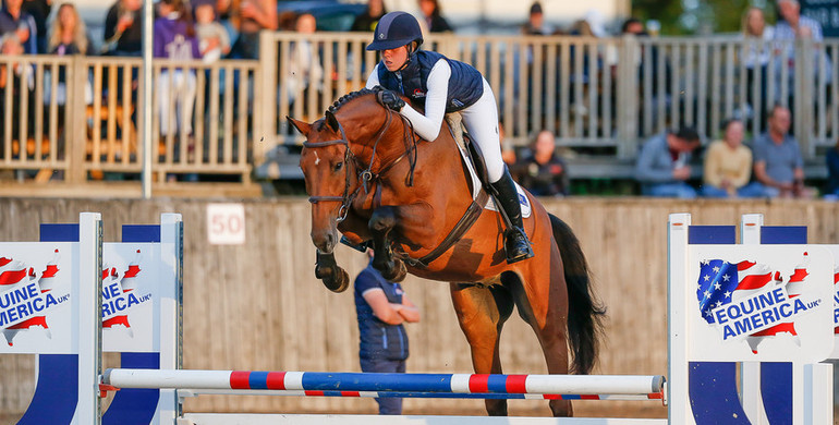 Billy Bonnie Blue tops The Billy Stud Online Auction!
