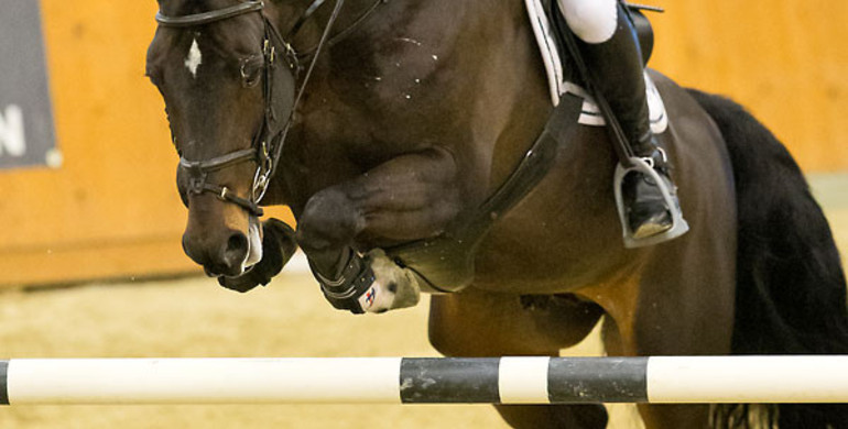 John Whitaker wins the Glock’s Grand Prix qualification