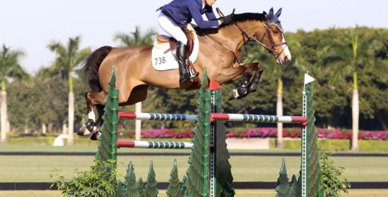 Conor Swail and Ariana win week 4 Wellington Turf Tour Grand Prix