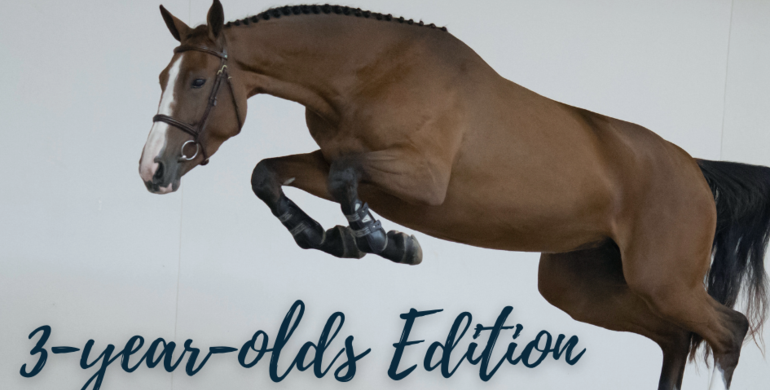 The Youngsters Auction is back! 4th edition on Tuesday 23 November 2021