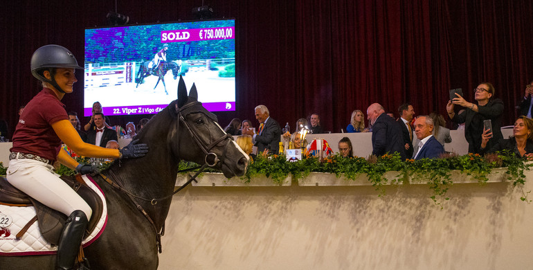 €750,000 sold Viper Z tops exceptional edition of Dutch Sport Horse Sales