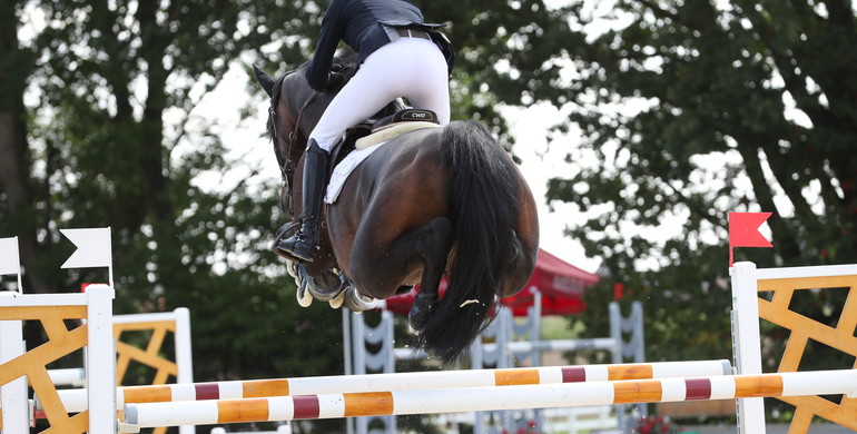 The Hetzel Jumping Championship for Young Horses
