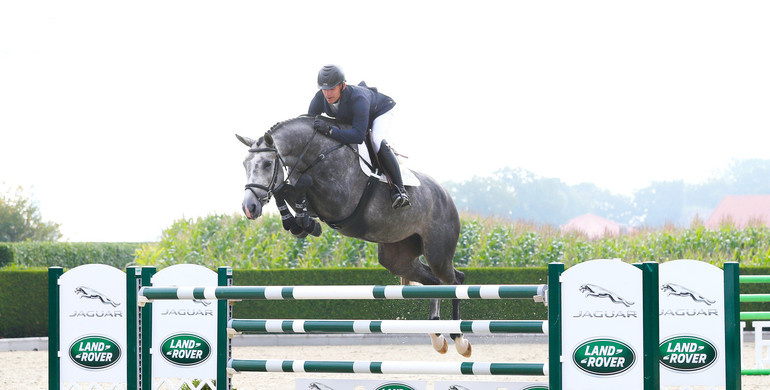 Holger Hetzel‘s 16th Sport Horse Sales: The auction collection is online