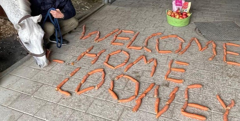 Martin Fuchs' Clooney 51 returns home after two months in the clinic