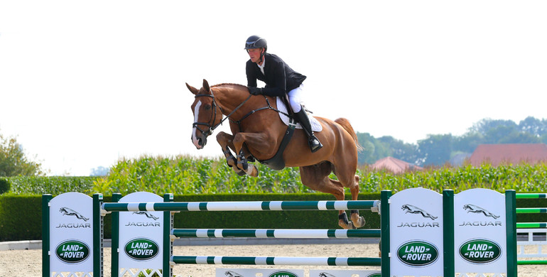 Holger Hetzel Sport Horse Sales presents: Big Plan