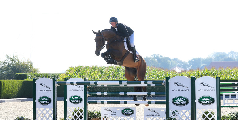 Holger Hetzel Sport Horse Sales presents: Million Dream