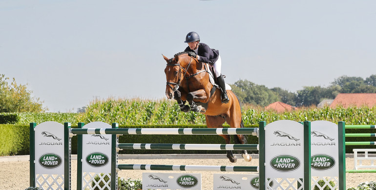Holger Hetzel Sport Horse Sales presents: Quick Kiss