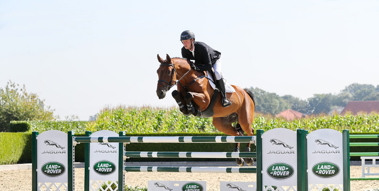 Holger Hetzel Sport Horse Sales presents: Rock'n'Roll