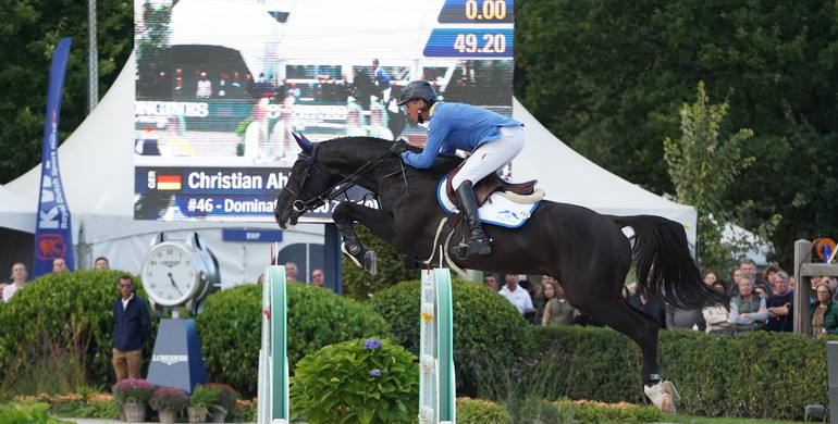 All eyes on Zangersheide Online Auction – bidding on rare embryos & broodmares has started!