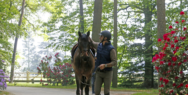 Rodrigo Pessoa is concerned about horse welfare as the FEI Jumping Committee supports Olympic formula with three horse-and-rider combinations per team