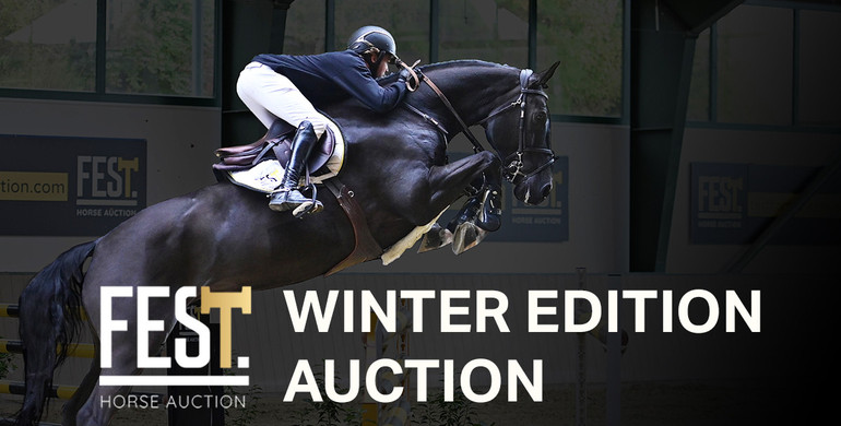 FESTHorseauction.com presents: Winter Auction Edition