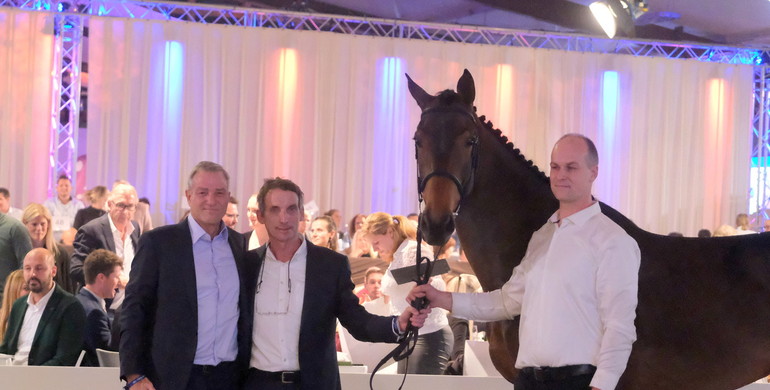 Holger Hetzel’s 16th International Sport Horse Sales: Bidders top the million mark twice