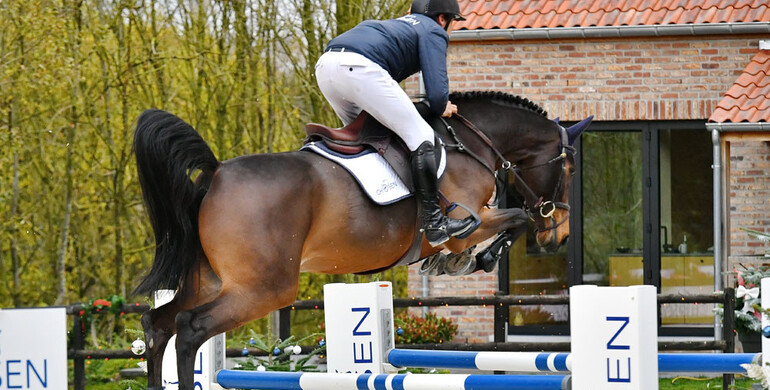 The ideal Christmas gift? Discover the talented showjumping talents of Chosen.auction